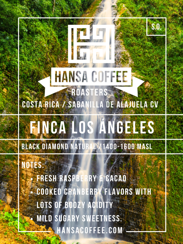 Costa Rica - Las Lajas Micromill - Finca Los Ángeles - Black Diamond