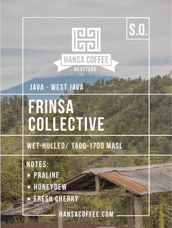 Java - Frinsa Collective- Wet Hulled