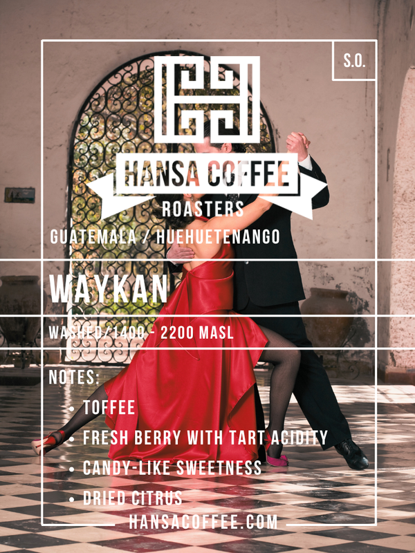 Guatemala - Huehuetenango - Waykan Regional Select